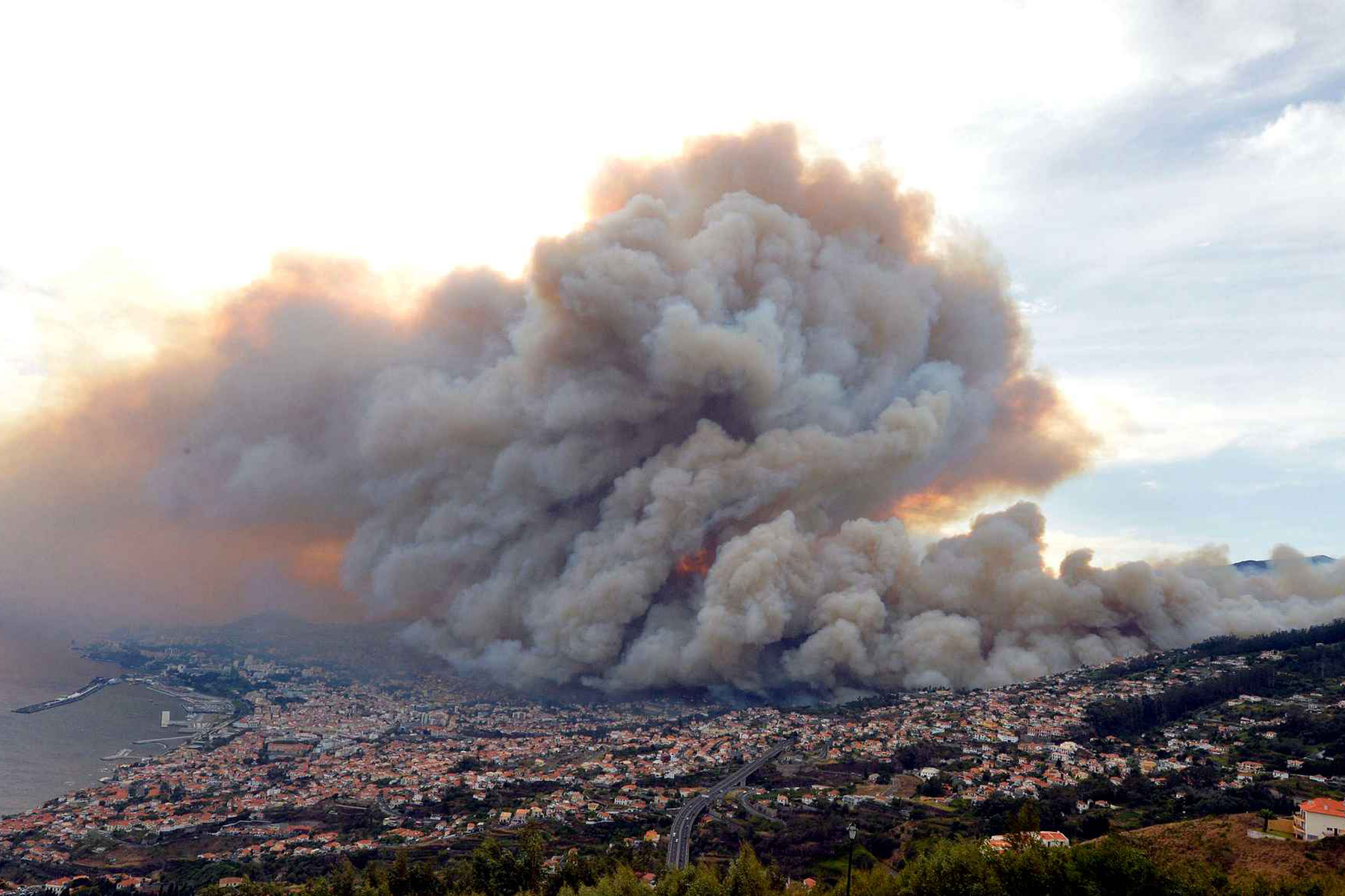 BRUCIA IL PORTOGALLO. ADRA INTERVIENE NELL’EMERGENZA.