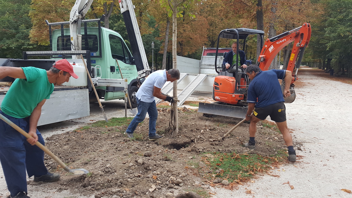 NELLA GIORNATA DEL CREATO LE CHIESE DI PARMA DONANO UN ALBERO ALLA CITTÀ