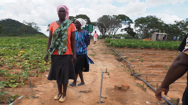 Due progetti per migliorare la sicurezza alimentare in Zimbabwe