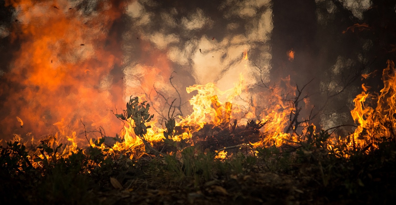 Adra aiuta le vittime degli incendi in Grecia