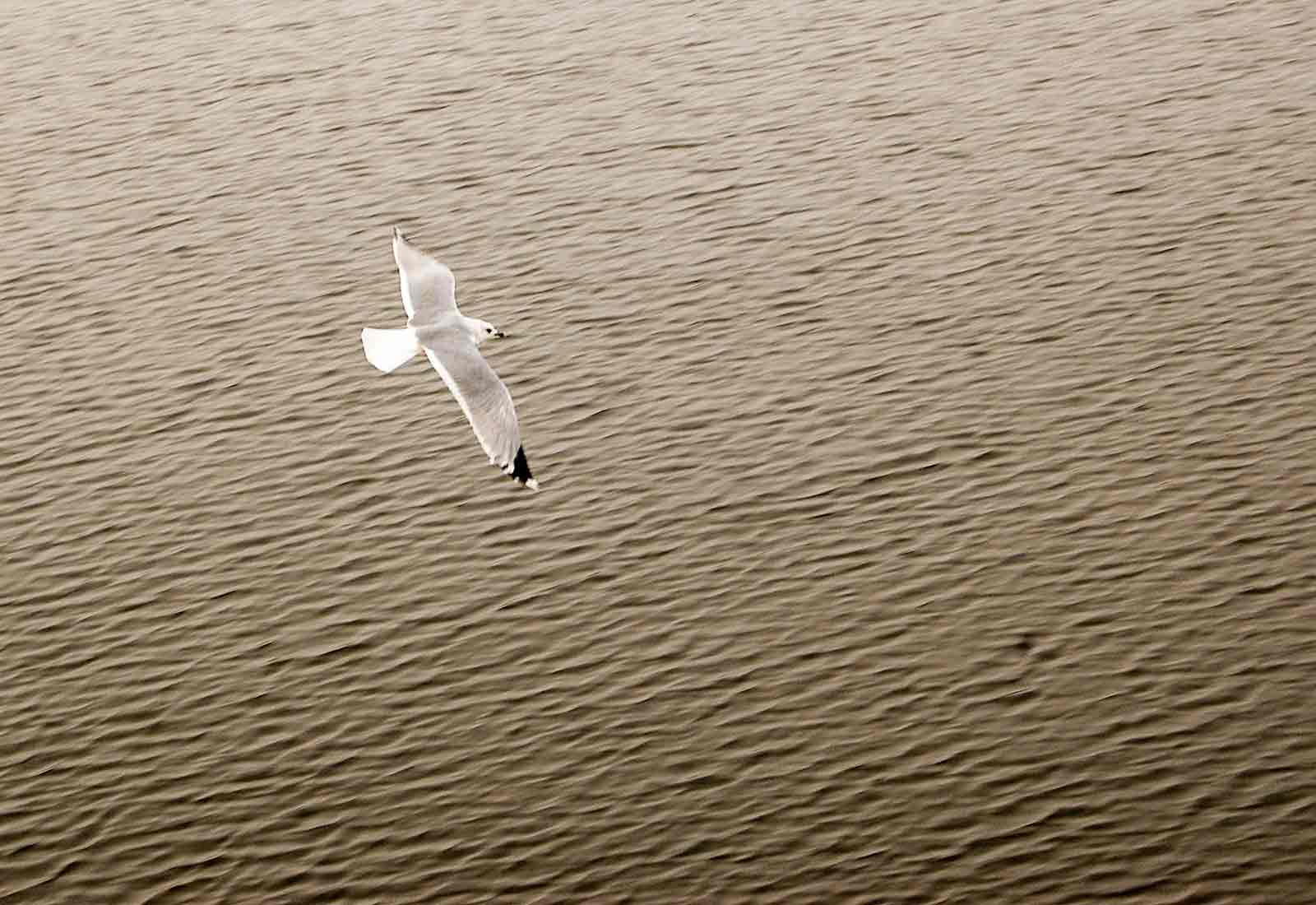 Les adventistes arrêtés au Burundi ont été libérés