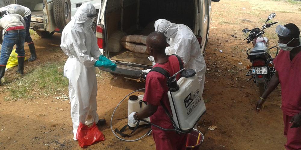 Epidemia di ebola in Congo