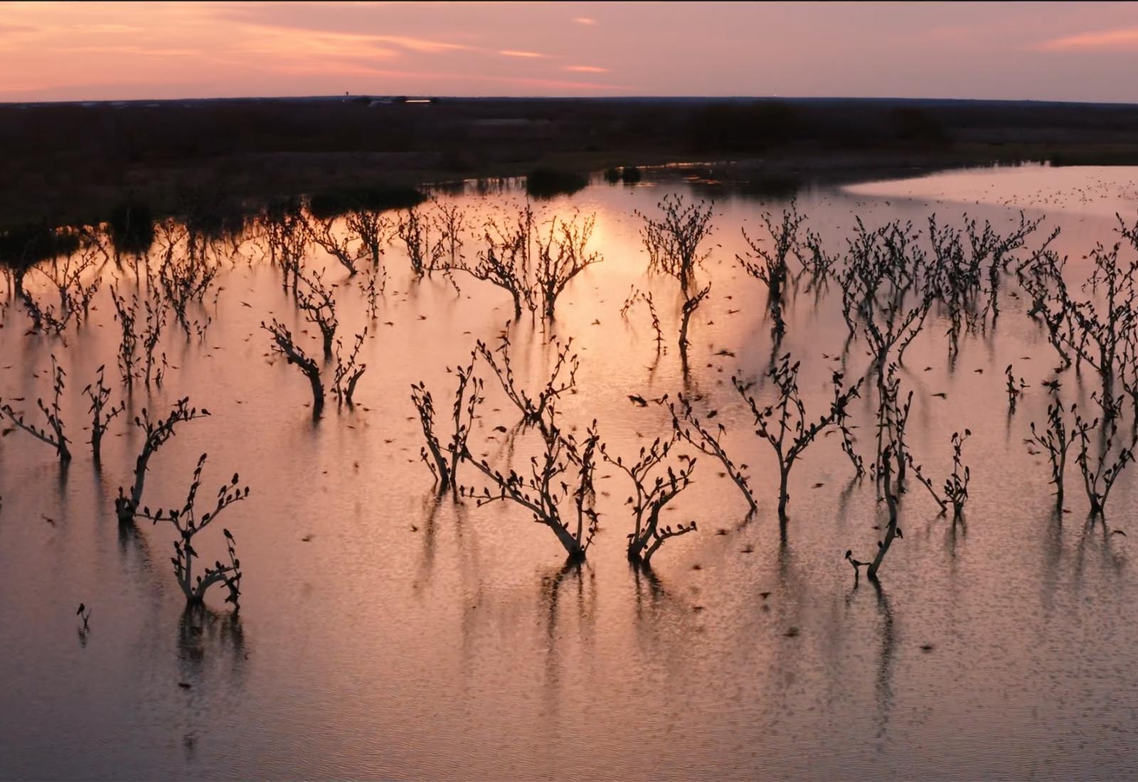 Sortie du film « Le Chant d’Amour Éternel de Dieu » pour le sabbat de la Création 2020