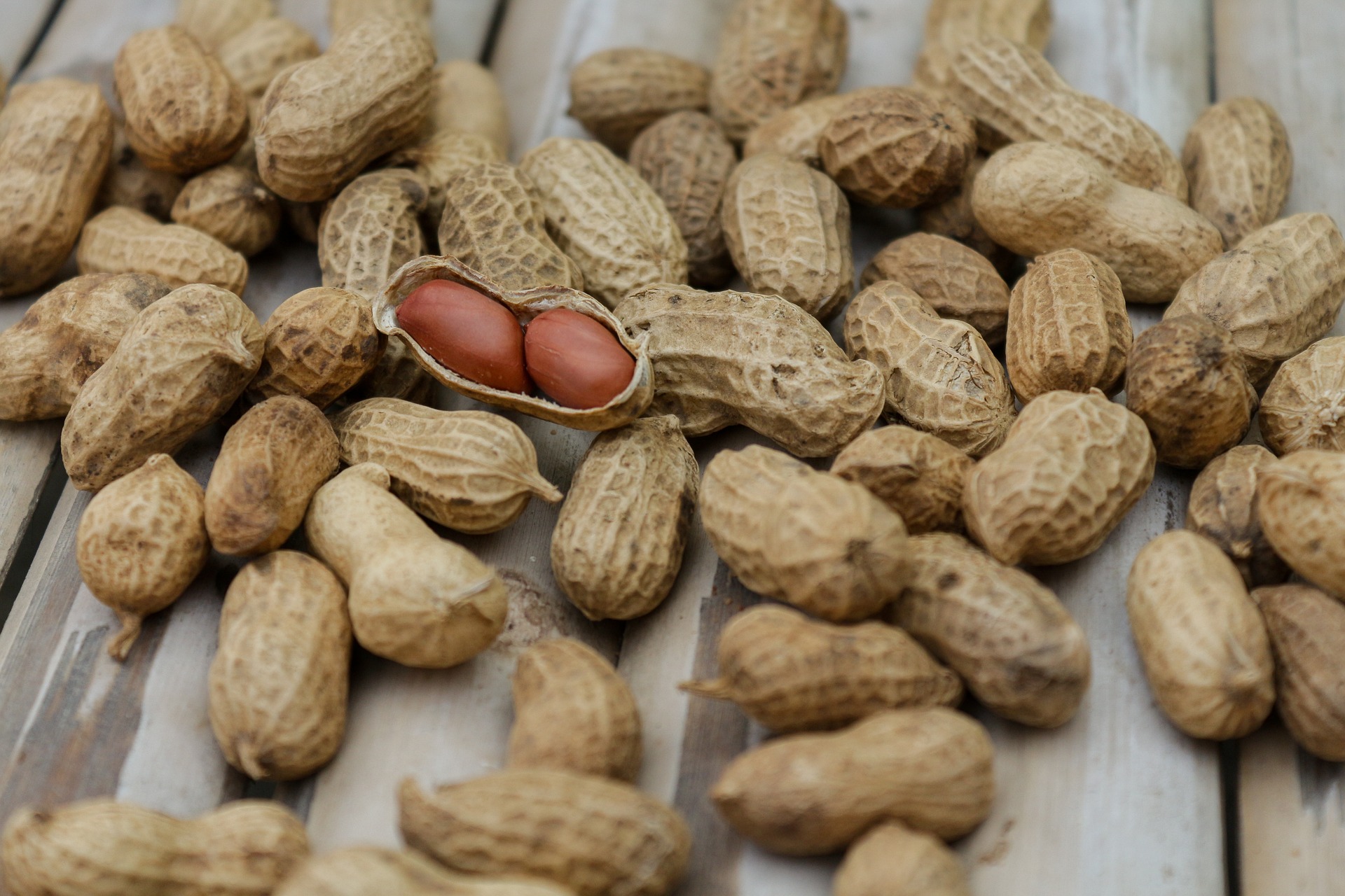 Il potere della nocciolina
