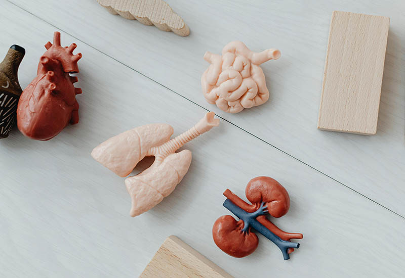 Baisse du taux de mortalité due aux maladies cardiaques, mais hausse de celui lié à d’autres enjeux cardiaques
